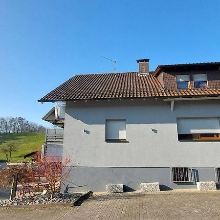 Grosse Tolle 4 Zimmer Ferienwohnung Im Herzen Des Odenwaldes Moerlenbach Ngoại thất bức ảnh